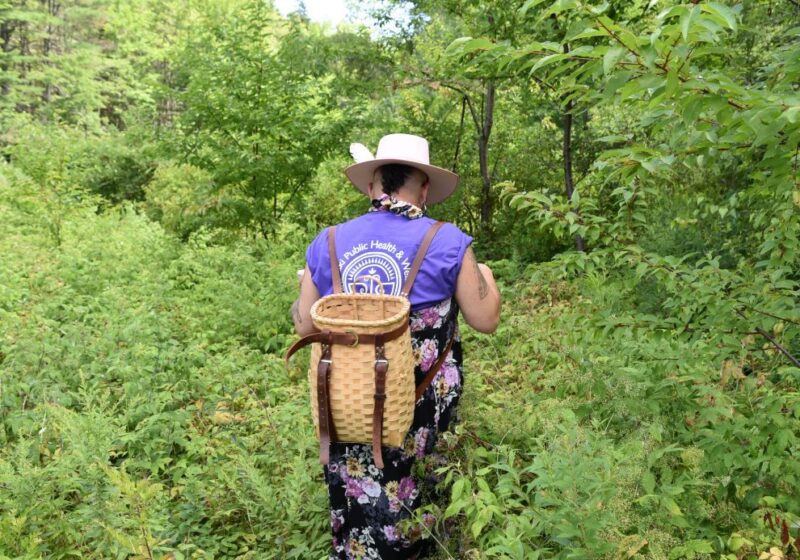 A woman carrying a pack basket walks through a green field